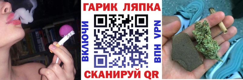 ГАШ Ice-O-Lator  Дмитриев 