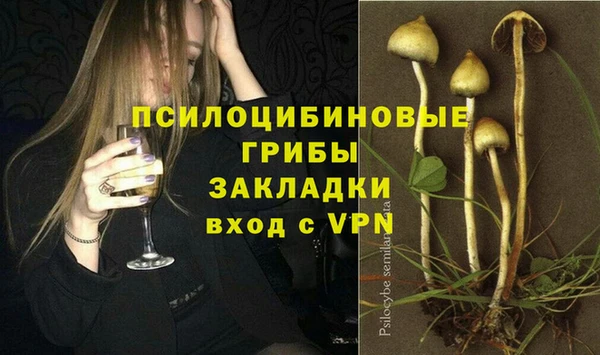 ПСИЛОЦИБИНОВЫЕ ГРИБЫ Аркадак