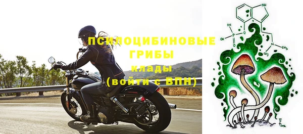 ПСИЛОЦИБИНОВЫЕ ГРИБЫ Аркадак