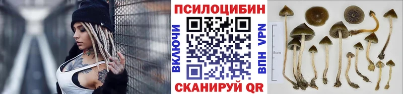 Псилоцибиновые грибы мухоморы где найти наркотики кракен как войти Дмитриев
